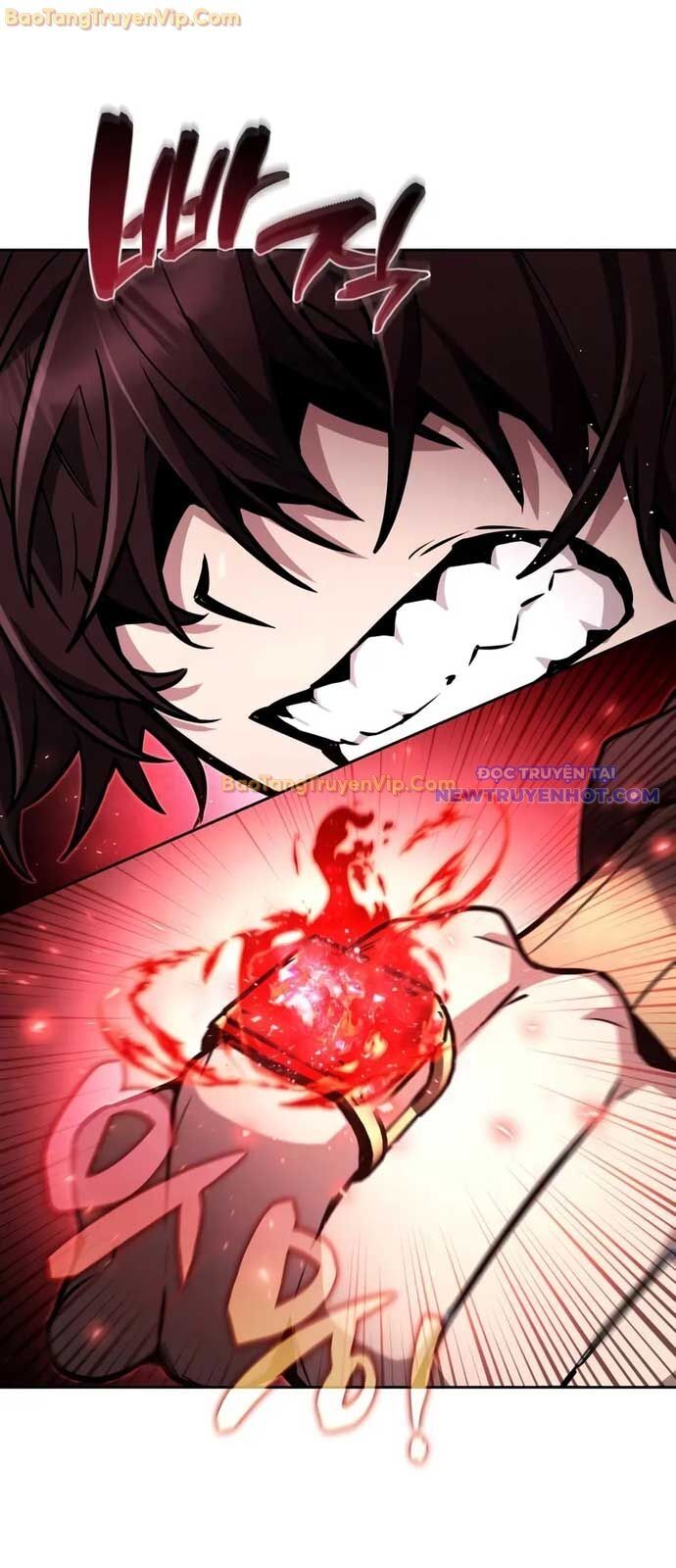 Đa Sắc Ma Pháp Sư Thiên Tài Chapter 24 - Trang 49