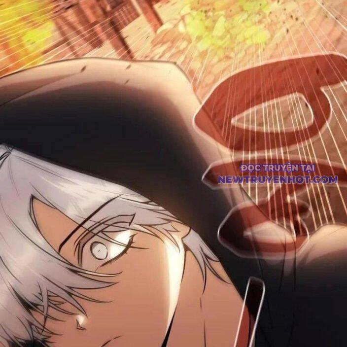 Đa Sắc Ma Pháp Sư Thiên Tài Chapter 6 - Trang 11