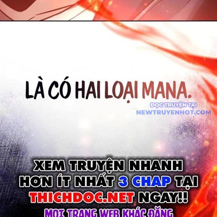 Đa Sắc Ma Pháp Sư Thiên Tài Chapter 9 - Trang 24