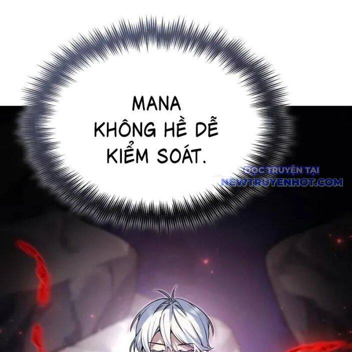 Đa Sắc Ma Pháp Sư Thiên Tài Chapter 9 - Trang 30