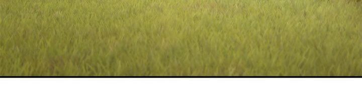 Tôi Không Muốn Trở Thành Hoàng Hậu - Chapter 11 - Page 4