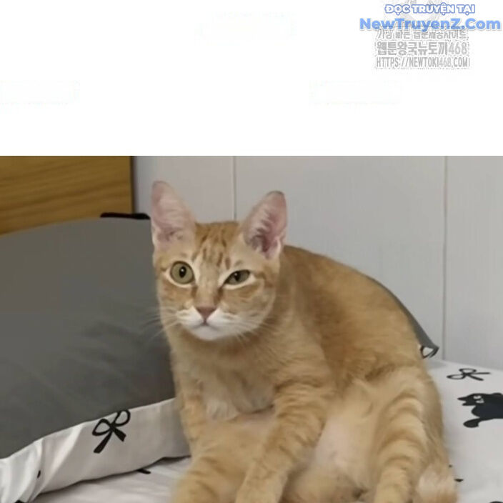 Đại Pháp Sư Mở Nhà Hàng - Chapter 77 - Page 204