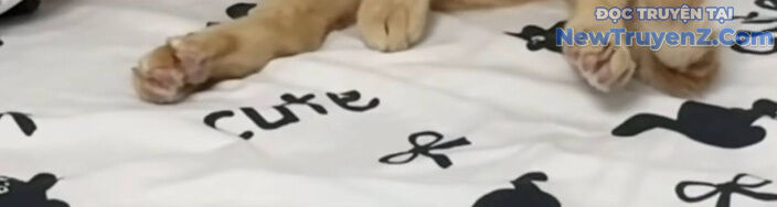 Đại Pháp Sư Mở Nhà Hàng - Chapter 77 - Page 205