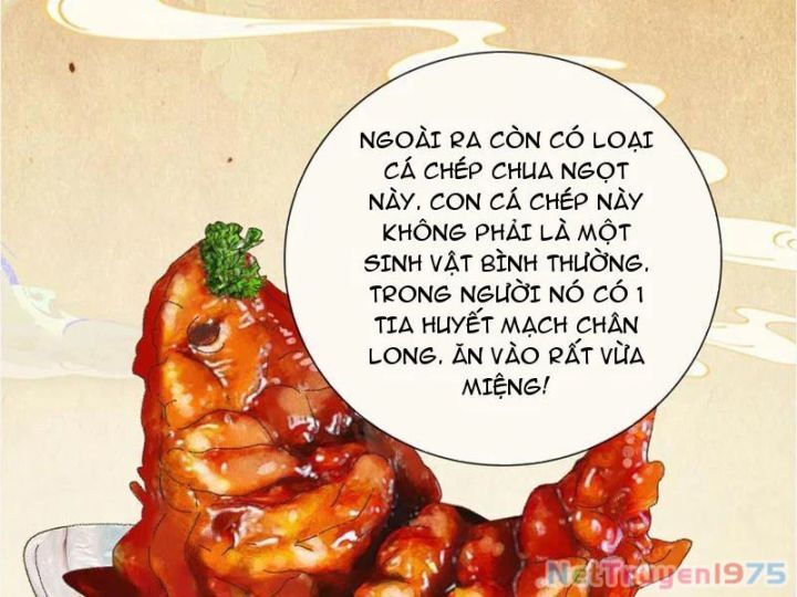 Gặp Mạnh Thì Càng Mạnh, Tu Vi Của Ta Không Giới Hạn - Chapter 41 - Page 21