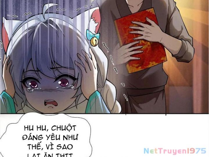 Gặp Mạnh Thì Càng Mạnh, Tu Vi Của Ta Không Giới Hạn - Chapter 41 - Page 31