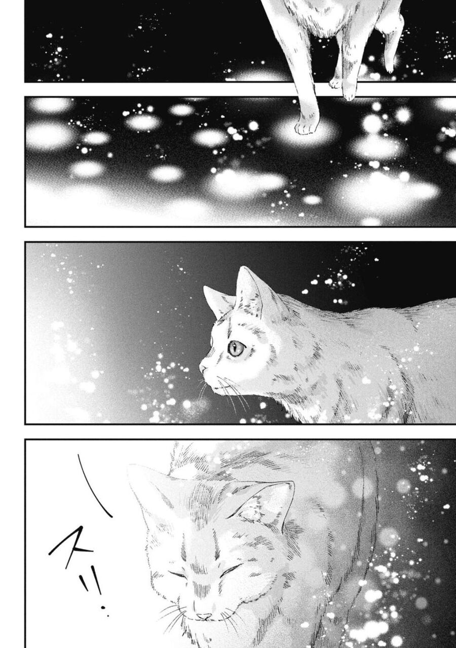 Thầy Trò Không Biết Yêu Chapter 74 - Trang 10