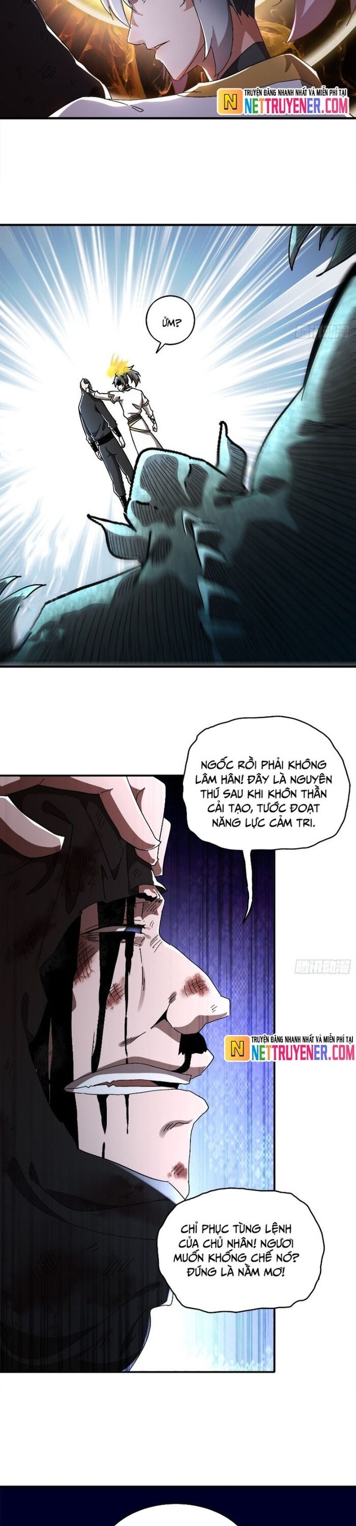 Tuyệt Sắc Đạo Lữ Đều Nói Ngô Hoàng Thể Chất Vô Địch Chapter 384 - Trang 3