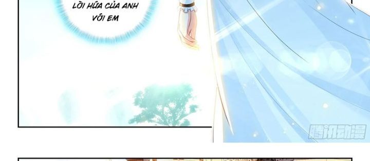 Đấu La Đại Lục 5 - Chapter 235 - Page 21