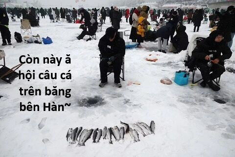 Hổ Đến Chơi Nhà - Chapter 135 - Page 69