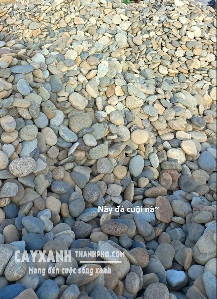 Hổ Đến Chơi Nhà - Chapter 136 - Page 47