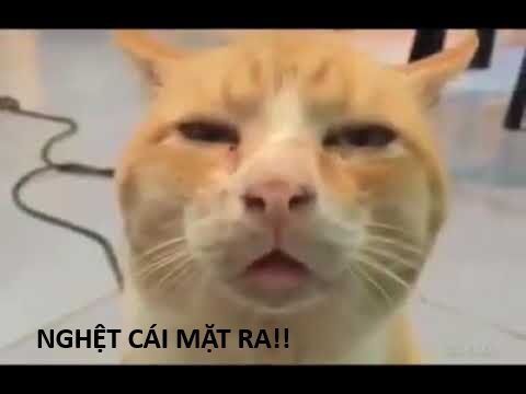 Hổ Đến Chơi Nhà - Chapter 138 - Page 106