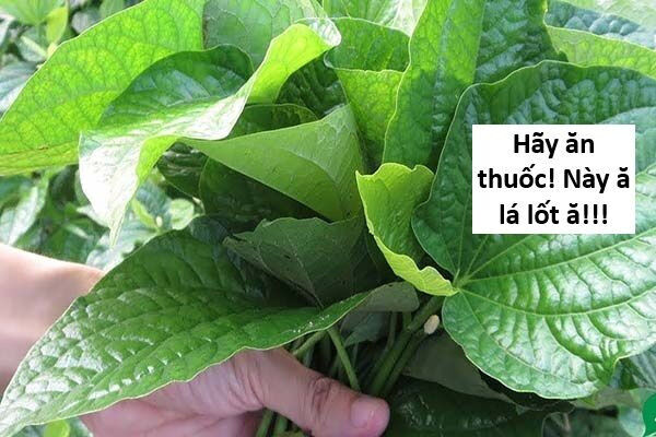 Hổ Đến Chơi Nhà - Chapter 139 - Page 48