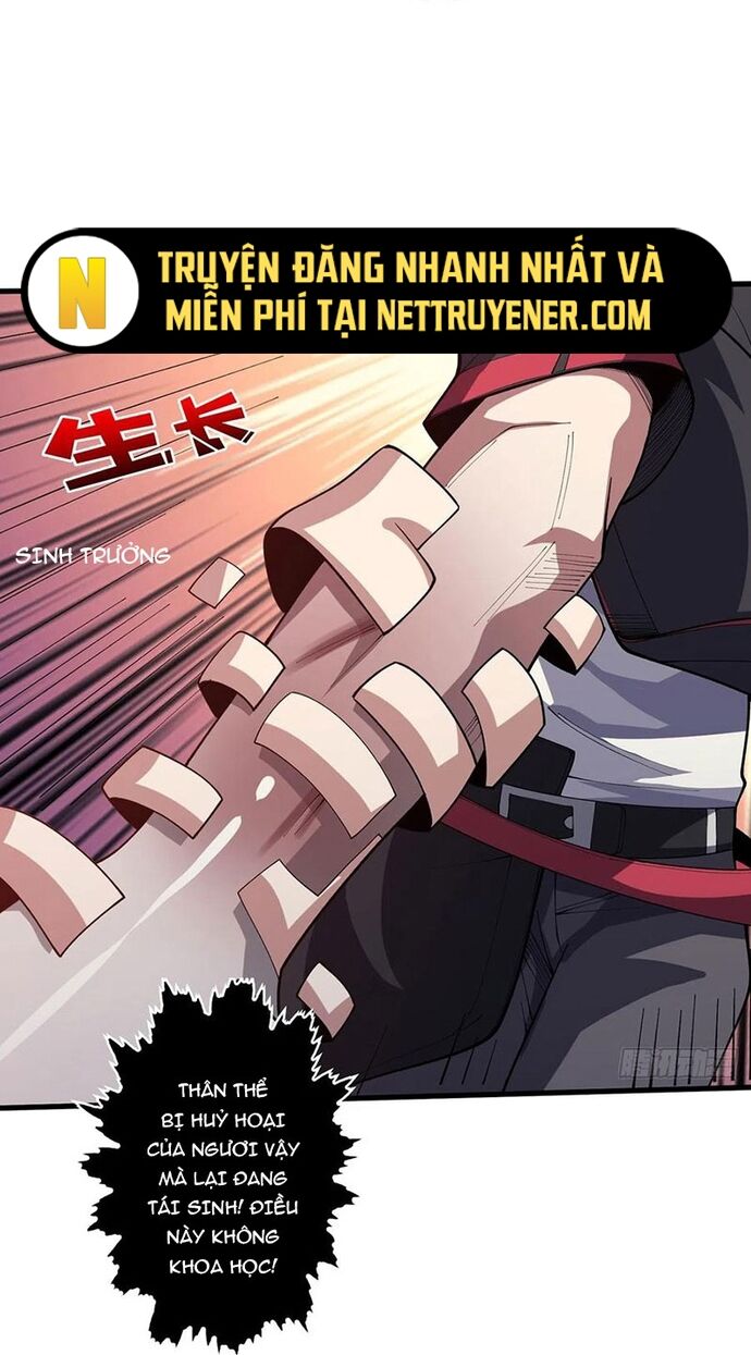 Nhân Vật Phản Diện? Chắc Chắn Không Phải Ta - Chapter 56 - Page 4