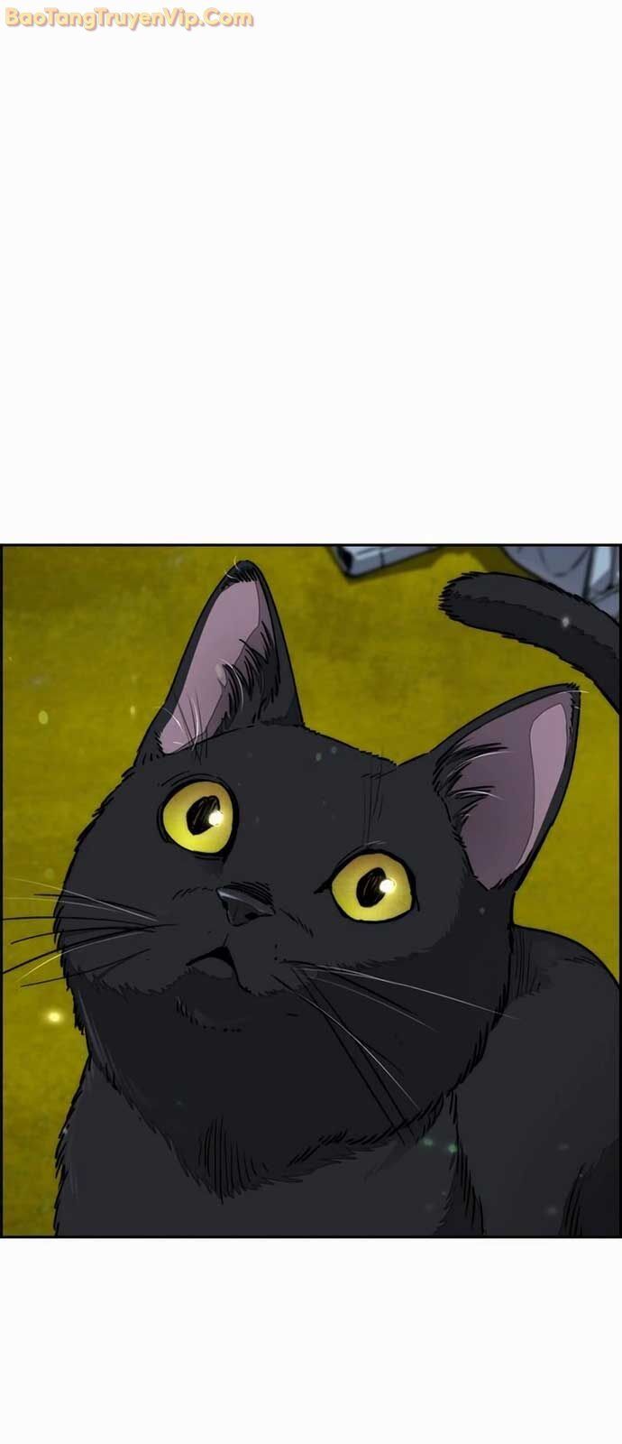 Thể Thao Cực Hạn - Chapter 549 - Page 87