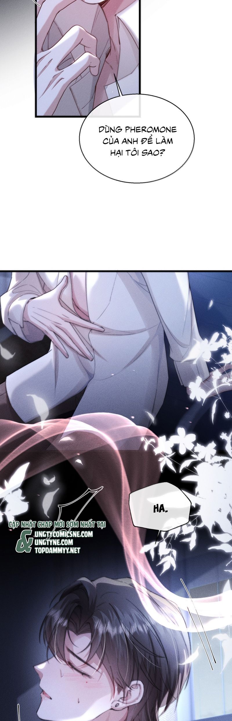 Kế Hoạch Tự Dưỡng Cuồng Khuyển - Chapter 61 - Page 8