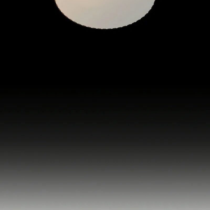 Thợ Săn Số Mệnh Cấp F - Chapter 80 - Page 50