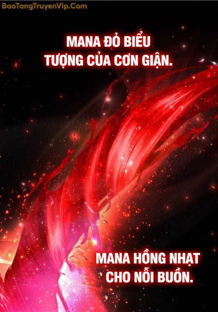 Đa Sắc Ma Pháp Sư Thiên Tài Chapter 35 - Trang 18