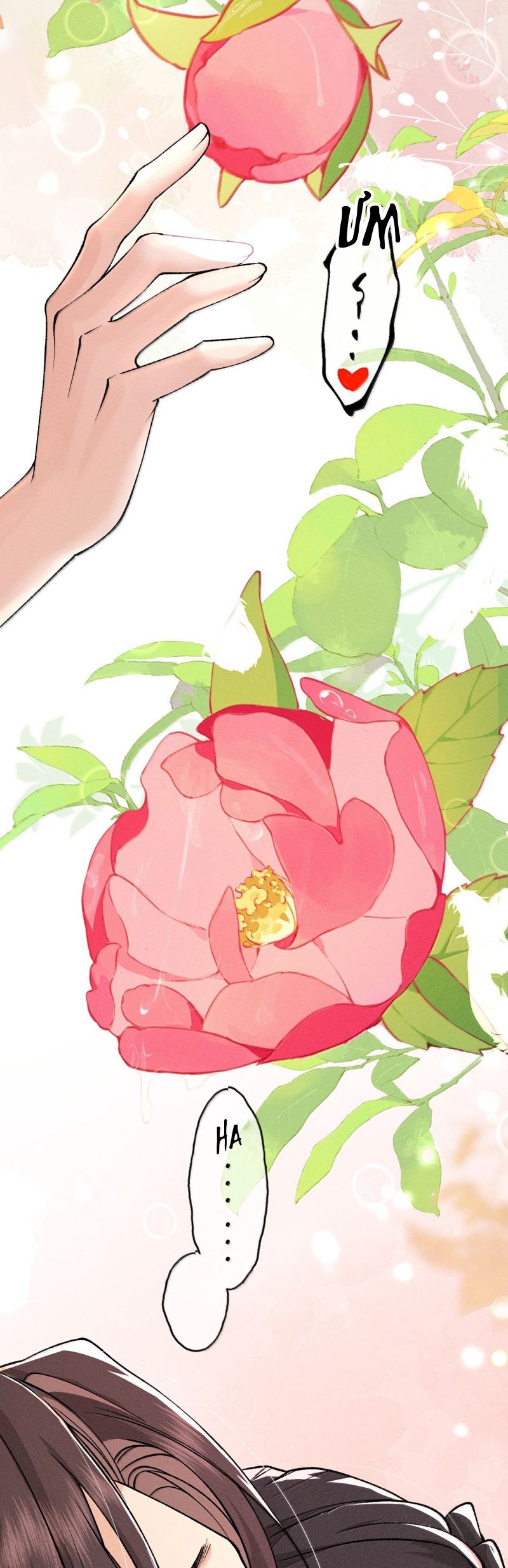 Hải Vương Sau Khi Hoàn Lương Sa Vào Tu La Tràng - Chapter 44 - Page 12