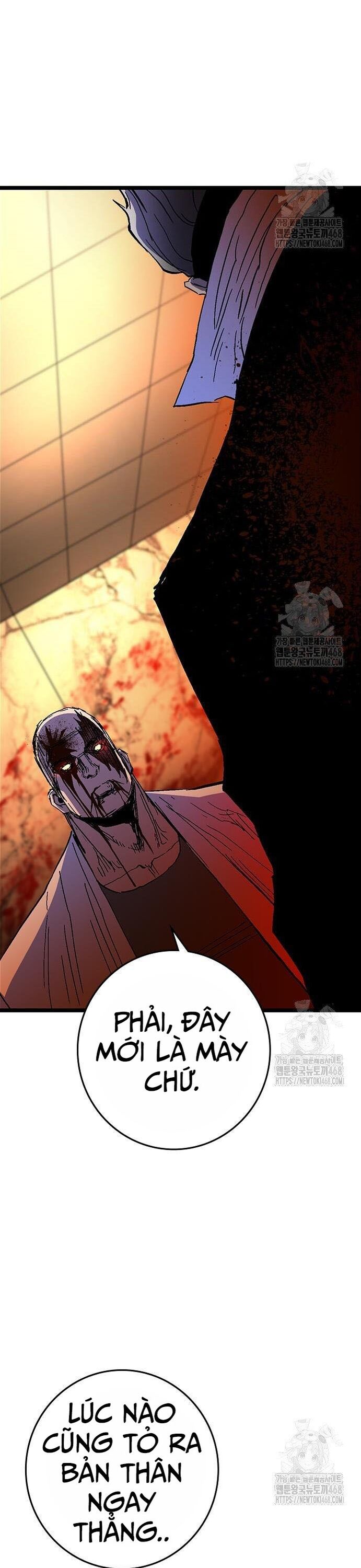 Phòng Gym Hanlim - Chapter 225 - Page 31