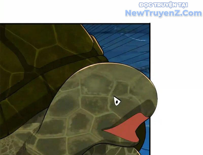 Huyễn Thú Của Ta Có Thể Tiến Hoá Vô Hạn - Chapter 27 - Page 50
