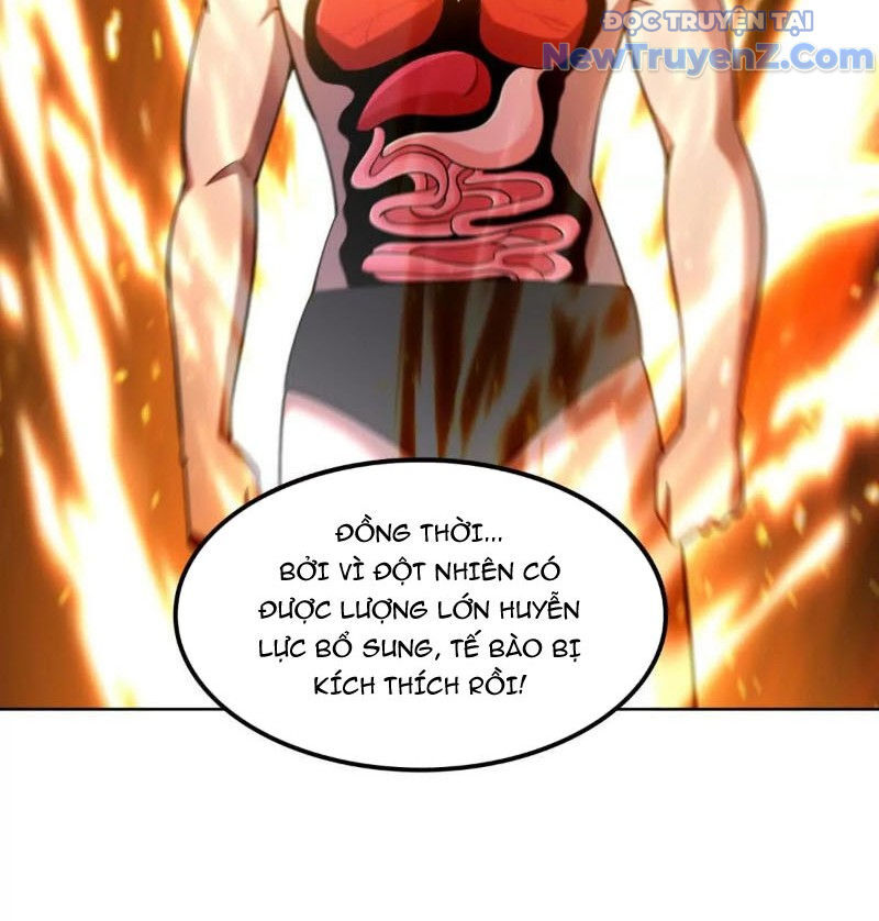 Huyễn Thú Của Ta Có Thể Tiến Hoá Vô Hạn - Chapter 29 - Page 64