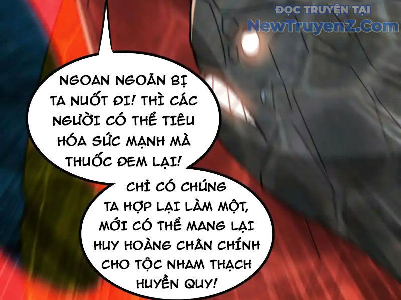 Huyễn Thú Của Ta Có Thể Tiến Hoá Vô Hạn - Chapter 31 - Page 13