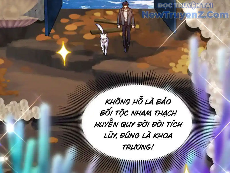Huyễn Thú Của Ta Có Thể Tiến Hoá Vô Hạn - Chapter 31 - Page 98