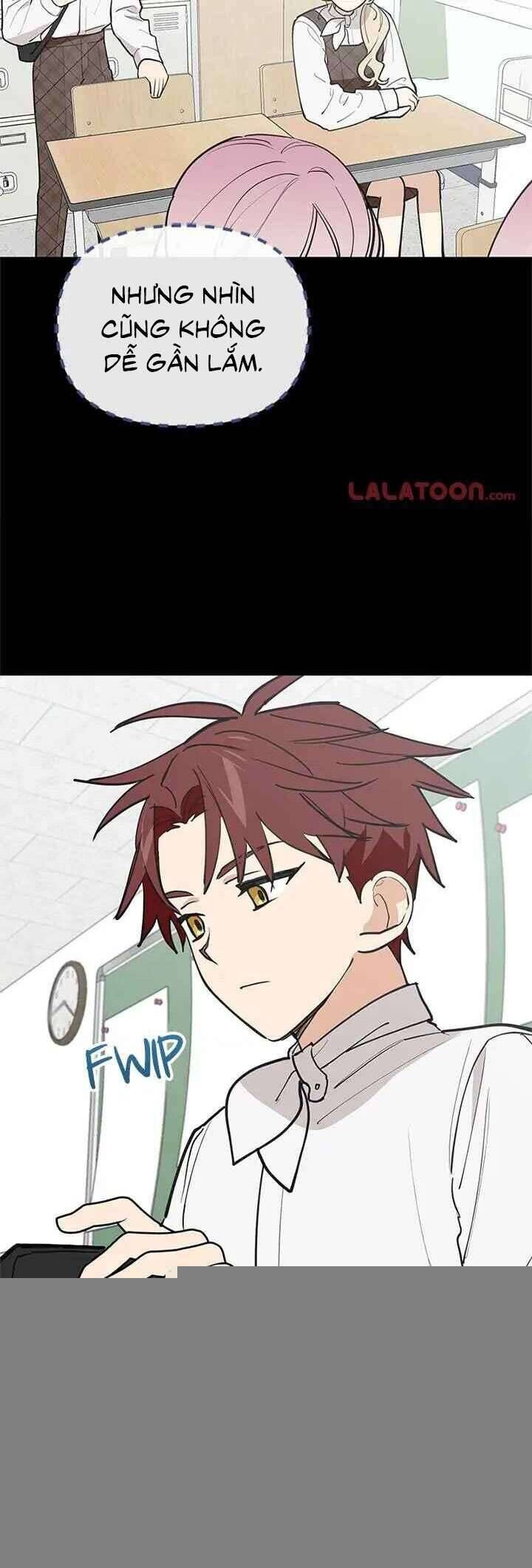 Điều Ước Sao Băng - Chapter 42 - Page 4