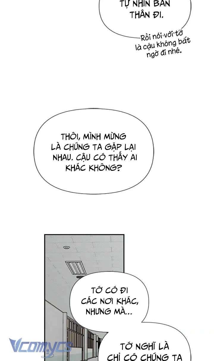 Điều Ước Sao Băng - Chapter 46 - Page 17