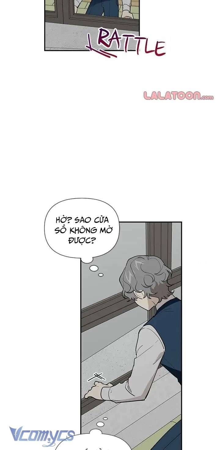 Điều Ước Sao Băng - Chapter 46 - Page 3