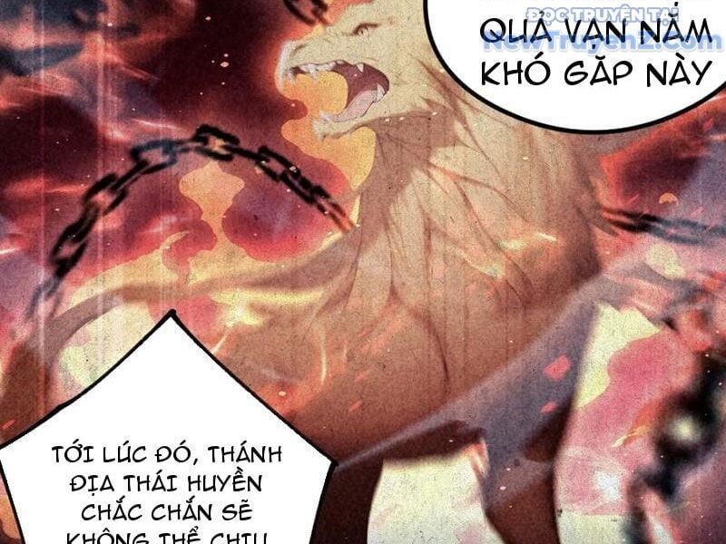 Hoá Ra Ta Đã Vô Địch Từ Lâu - Chapter 293 - Page 22