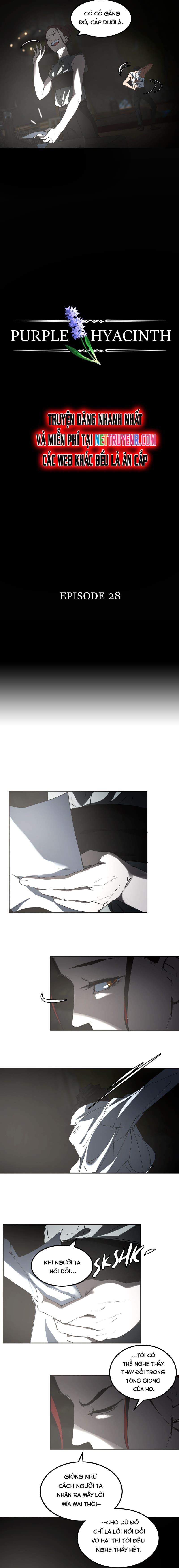 Hoa Lục Bình Tím - Chapter 28 - Page 3