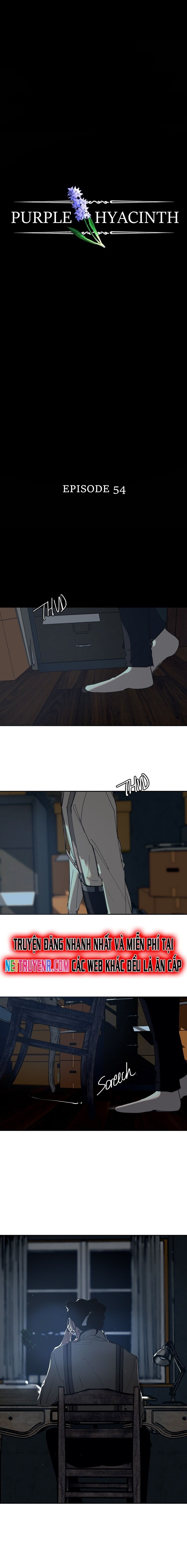 Hoa Lục Bình Tím - Chapter 54 - Page 3