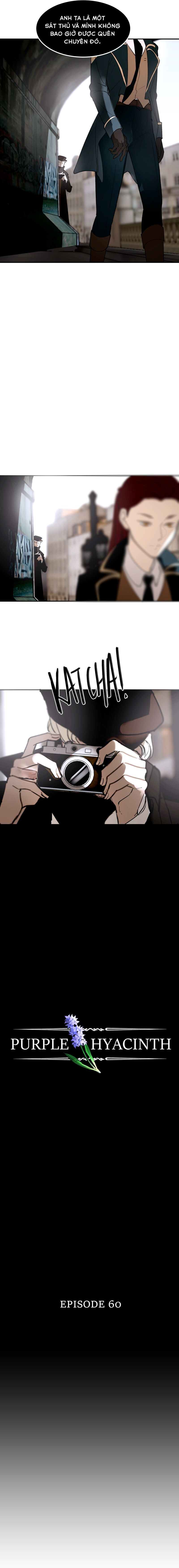 Hoa Lục Bình Tím - Chapter 60 - Page 3