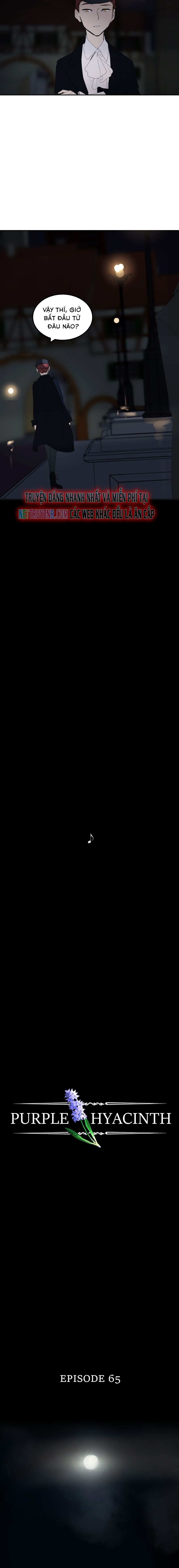 Hoa Lục Bình Tím - Chapter 65 - Page 5