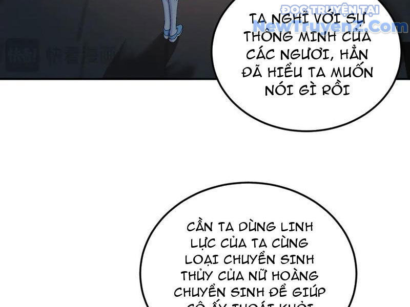 Hóa Ra Các Cô Ấy Mới Là Nhân Vật Chính - Chapter 81 - Page 25