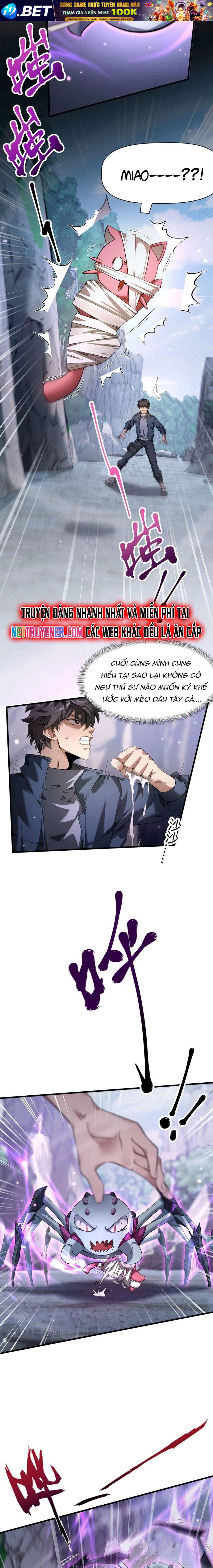 Thần Giới Giáng Lâm: Ta Là Người Mạnh Nhất - Chapter 2 - Page 12