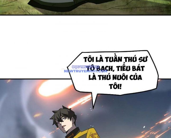 Vạn Tộc Xâm Lược: Bắt Đầu Thuần Hóa Cự Thú Cấp Sử Thi - Chapter 6 - Page 13