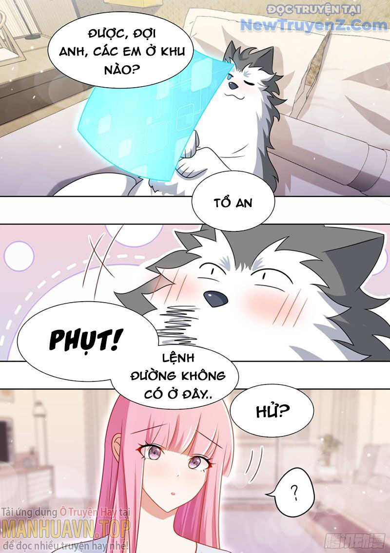 Trọng Sinh Thành Chó Của Nữ Thần - Chapter 192 - Page 12