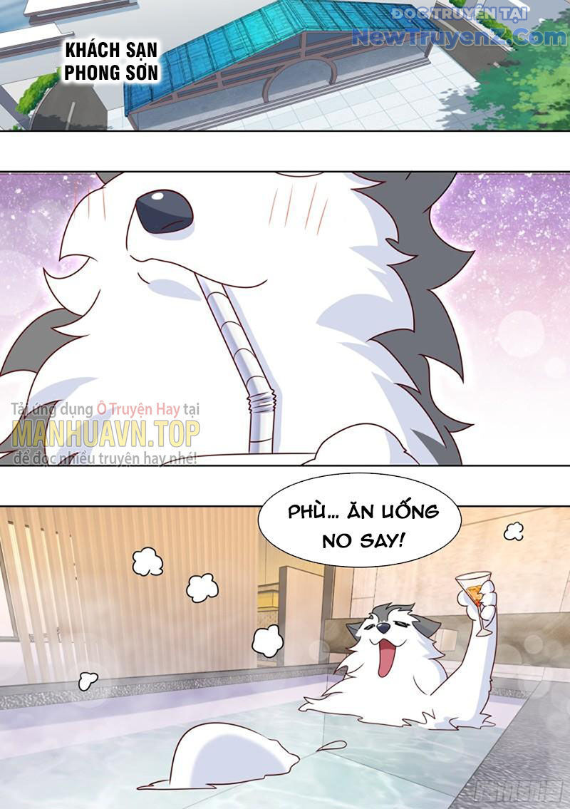 Trọng Sinh Thành Chó Của Nữ Thần - Chapter 192 - Page 7