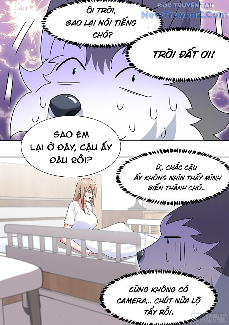 Trọng Sinh Thành Chó Của Nữ Thần - Chapter 196 - Page 7