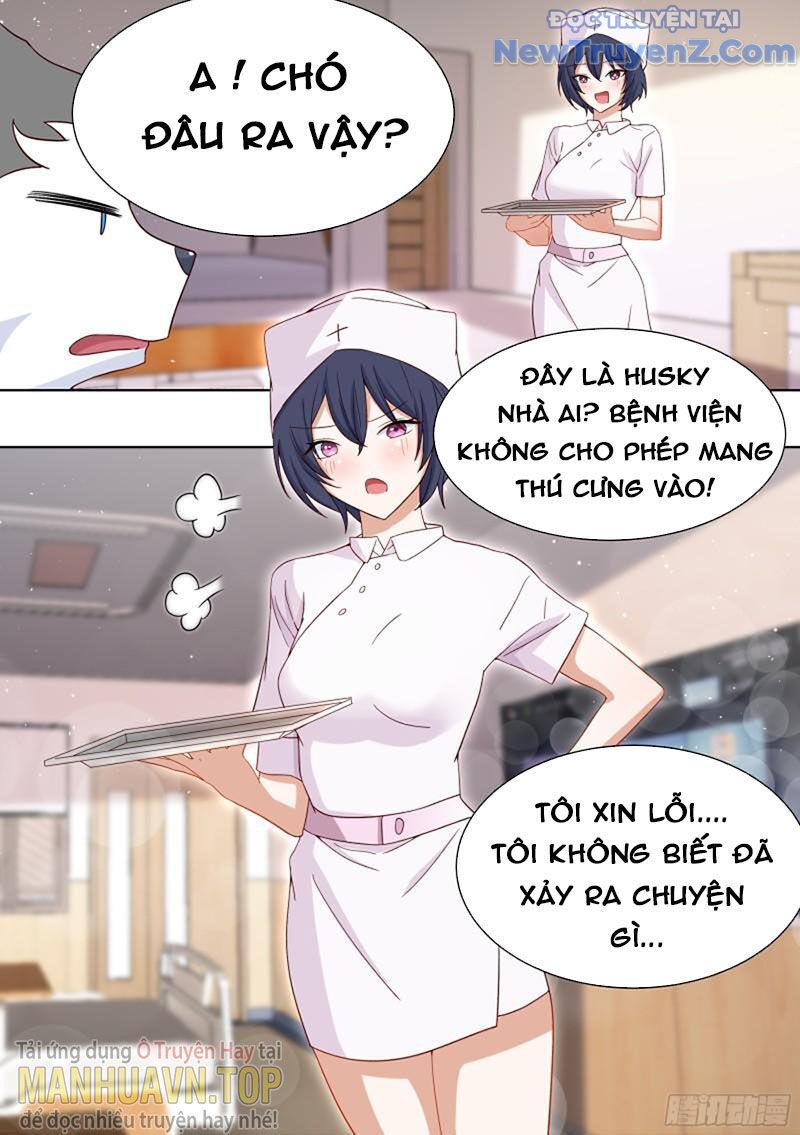 Trọng Sinh Thành Chó Của Nữ Thần - Chapter 196 - Page 8