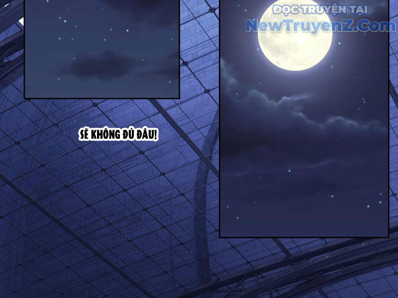 Truyền Kỳ Thái Lạc - Chapter 196 - Page 25