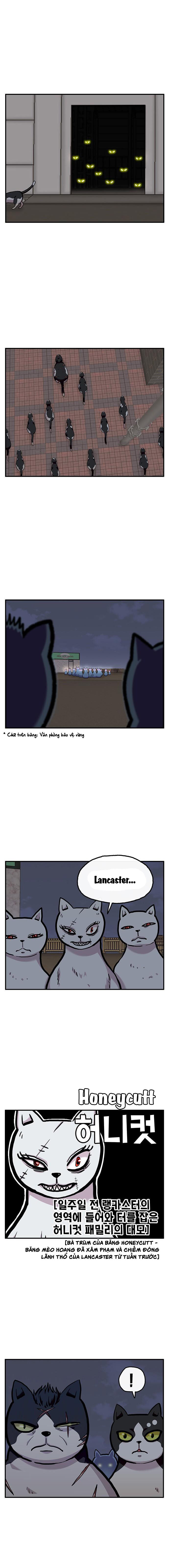 Chúa Tể Muôn Loài - Chapter 25 - Page 10