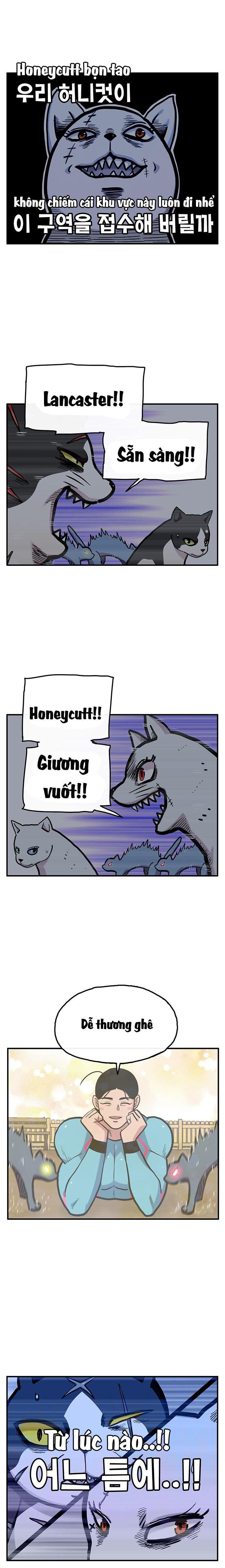 Chúa Tể Muôn Loài - Chapter 25 - Page 15