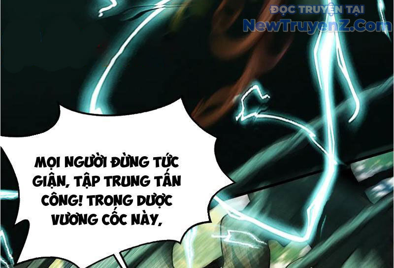 Gặp Mạnh Thì Càng Mạnh, Tu Vi Của Ta Không Giới Hạn - Chapter 45 - Page 33