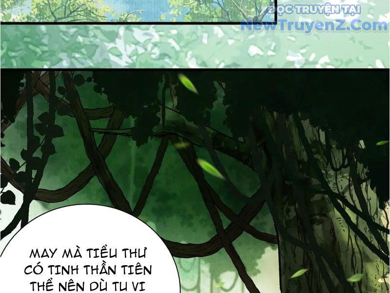 Gặp Mạnh Thì Càng Mạnh, Tu Vi Của Ta Không Giới Hạn - Chapter 45 - Page 65