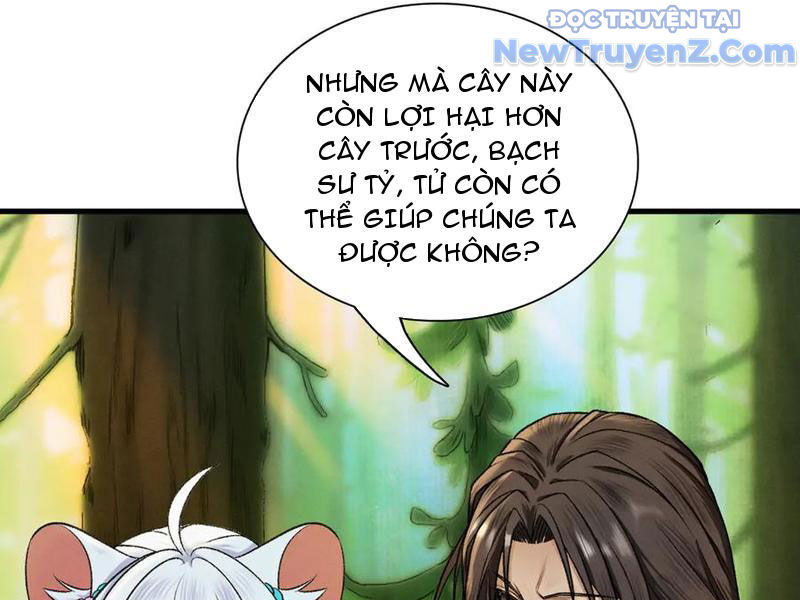 Gặp Mạnh Thì Càng Mạnh, Tu Vi Của Ta Không Giới Hạn - Chapter 47 - Page 87