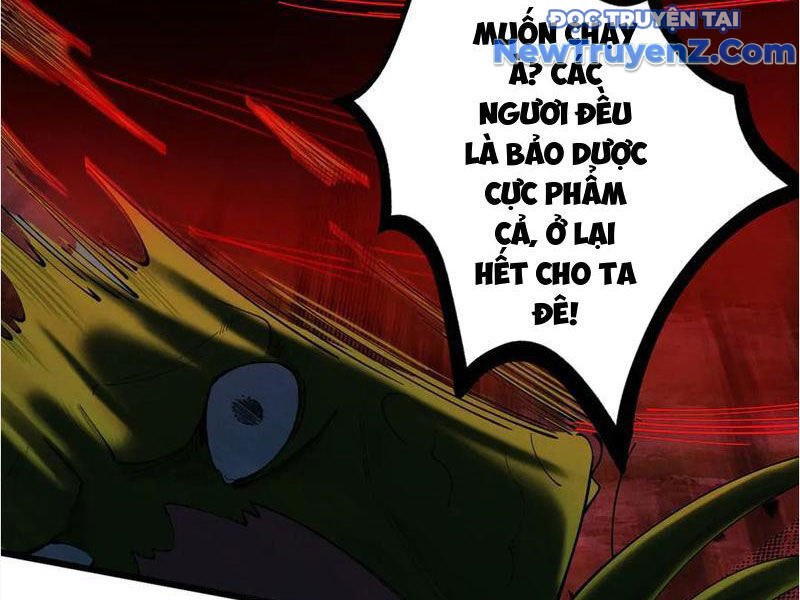 Gặp Mạnh Thì Càng Mạnh, Tu Vi Của Ta Không Giới Hạn - Chapter 48 - Page 13