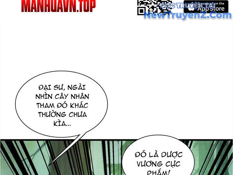 Gặp Mạnh Thì Càng Mạnh, Tu Vi Của Ta Không Giới Hạn - Chapter 48 - Page 22